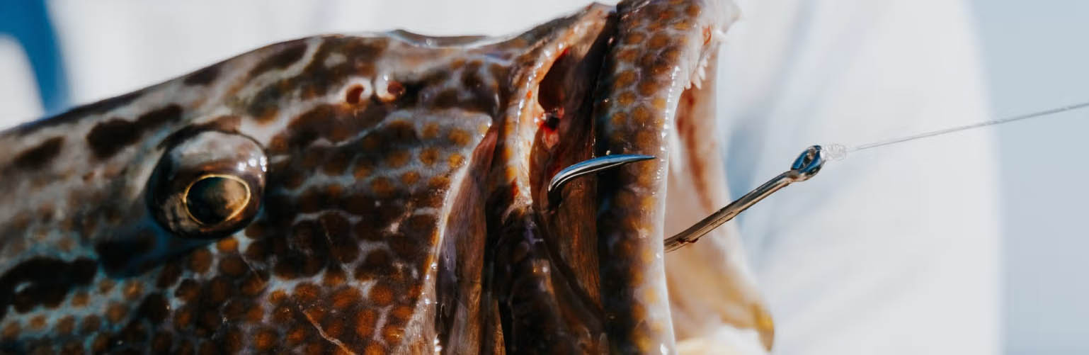 Mustad -Mustad GHJGJ